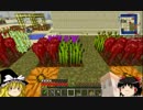 【Minecraft】ゆっくりの野望　その２９【工業化MOD】