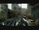 【COD:BO2】アサルト好きがDominationを攻略　in　Yemen　SMR