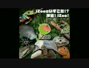 iZooはいずこだ 伊豆! iZoo! / ヒャダイン
