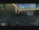 【BO2】VectorK10練習中です【神的にいい人】