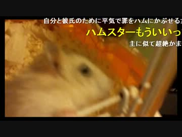 狐面の子がハムスター疑惑放送について説明枠