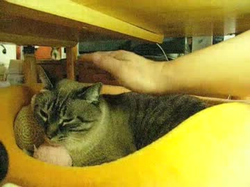 うふふ、パパがジャンくんの頭を撫でたよ