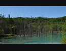 銀ゼルの北海道旅行記2012 Part05【旭川散策編】