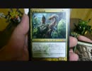 【MTG】ギルド門侵犯のプレリリース行ってきたよ【プレリ報告】