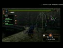 【MH】気まぐれ☆狩日和　第17回　銀竜【　P　2　G　】