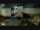 【COD:BO2】建物にひきこもる！【ガーディアン】