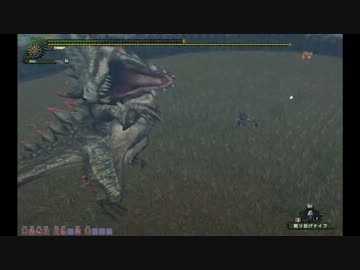 【MHF】第61回韋駄天杯 獰竜高速討伐！ ランス部門3鯖暫定2位