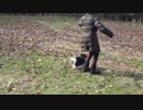 あんこ公園をくるくる