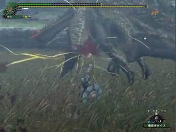 【MHF】第61回公式狩猟大会 獰竜高速討伐！ランス部門