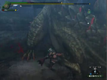 【MHF】第61回公式狩猟大会 獰竜高速討伐！狩猟笛部門