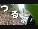 【Ninja250R】で険道を走った。Part 4【県道35号線】