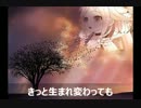 きっと生まれ変わっても