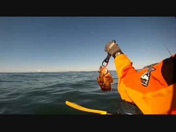 【房総】カヤックフィッシング【テンヤ】