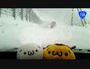 【前が】雪の国道158号を走ったった【見えない】