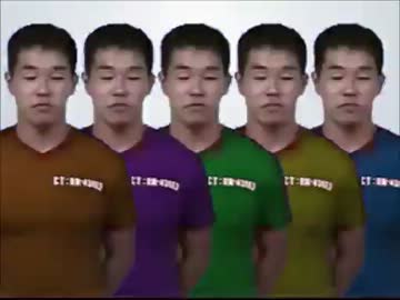 野獣戦隊