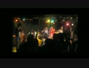 猫　ライブ　1103