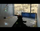 [CoD] S&DにAR担いで行って来た　字幕有り　[BO2]