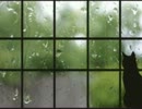 rain stops,good-bye　歌ってみた　ひなきち