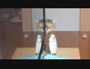 ココ　五十四日目　紐で遊ぼ！