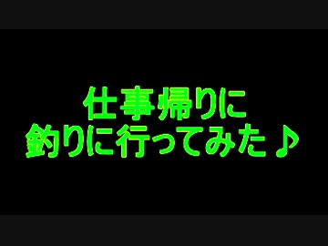 仕事帰りに釣りに行ってみた♪【日記】