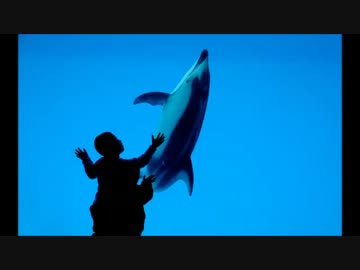 【作業用BGM】 晴れた休日がより楽しくなる洋楽集