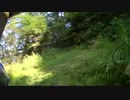 廃道になりつつある林道