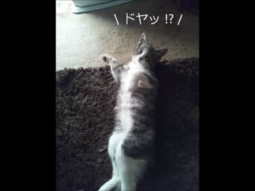 俺も教採捨ててロードバイクで北海道一周してくる！part3