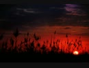 【オリジナル曲】 灯火