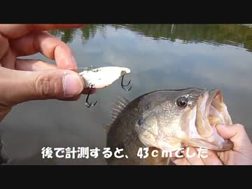 たぶんもっとバスは釣れる！　3【真冬の定番！リトルマックス編】