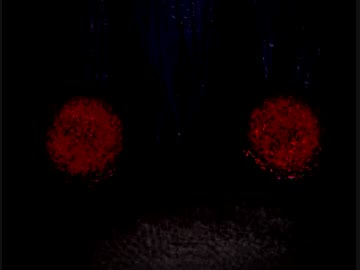 【魔女の家】騒ぎまくって館内冒険【実況】最終回