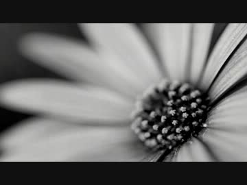 逢いたい - Tete(original song)