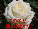 ホラー苦手な友人に魔女の家を実況プレイさせてみた3