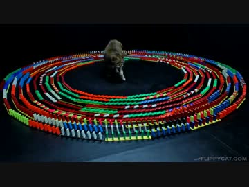 ドミノの中心に猫を置いてみた