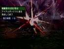 【MHP3】愉快な人達の迷走　番外編6【実況】