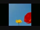 【Full HD】Paris Match - (They Long To Be) Close To You (Bossa Nova)