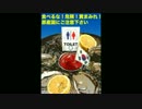 韓国産には気をつけろ！　～ Getaway ～