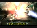 飛べない狐ブレオン傭兵記録其の弐