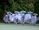 素敵なディズニーダンサーさん
