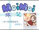 【ＡＰヘタリア】オーロラ紀行【1日目】