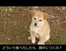 【忍犬】68日目～ヨーグルトまみれ(　´З｀)＝３ ｹﾞｯﾌﾟ付きカムイ～