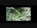 【Jazz】日本人でよかった・・・ってなる日本産ジャズ集【作業用BGM】