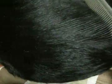 【つや猫】ジジ【キューティクル】