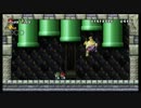 赤と緑と時々おかん!?/女2人でNewスーパーマリオブラザーズWii【実況9】