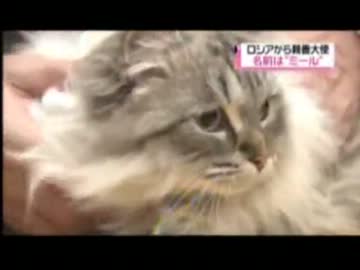 ロシアから平和の使者・ミール到着