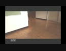 ﾘｴｶﾞﾐﾖ1/2