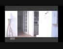 ｦﾃﾞﾋﾞﾉ前生1/2