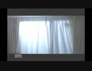 ｦﾃﾞﾋﾞﾉ前生2/2