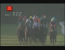 【世界の競馬場から】2013年チリエルダービー　ドンディオニーショ