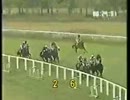 【世界の競馬場から】レールの上を走らない生き方ってのもいいと思う