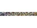 ホドモエシディシティ用のニコ割